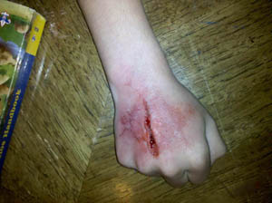 Jodi Byrne Makeup Artist Cut Hand Special FX